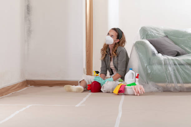 Reliable Mold Remediation contractor in Piney Point, MD by WQB Mold Removal